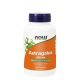 astragalus now foods